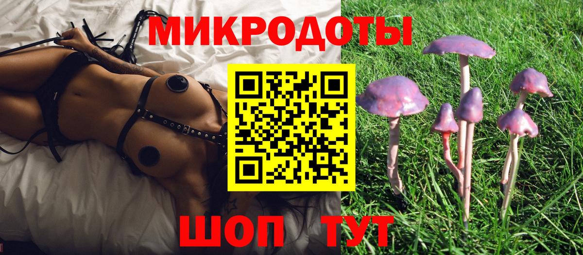 Отрадный  Галлюциногенные грибы прущие грибы  Вход с VPN 