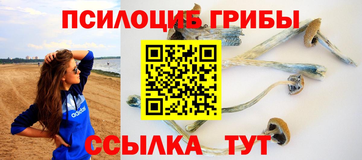Псилоцибиновые грибы мухоморы Отрадный